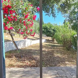 Hébergement de vacances Domaine De La Navicelle - Syrah, Le Pradet